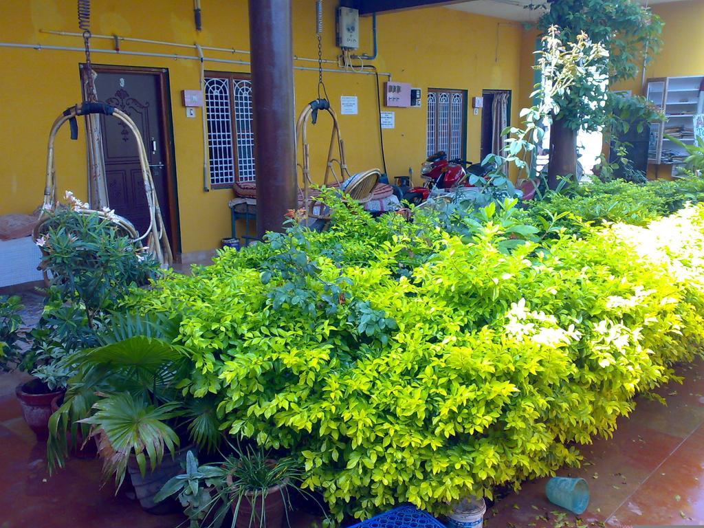 Archana Guest House River View ハンピ エクステリア 写真